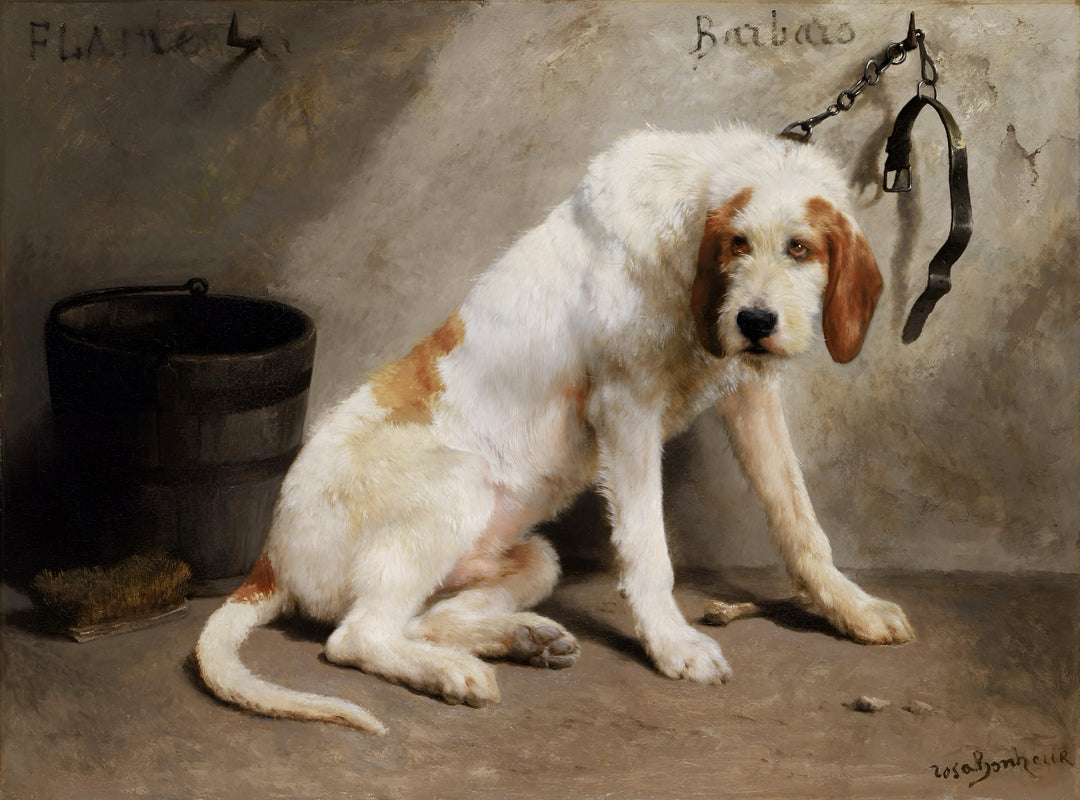 Barbaro after the Hunt - Rosa Bonheur