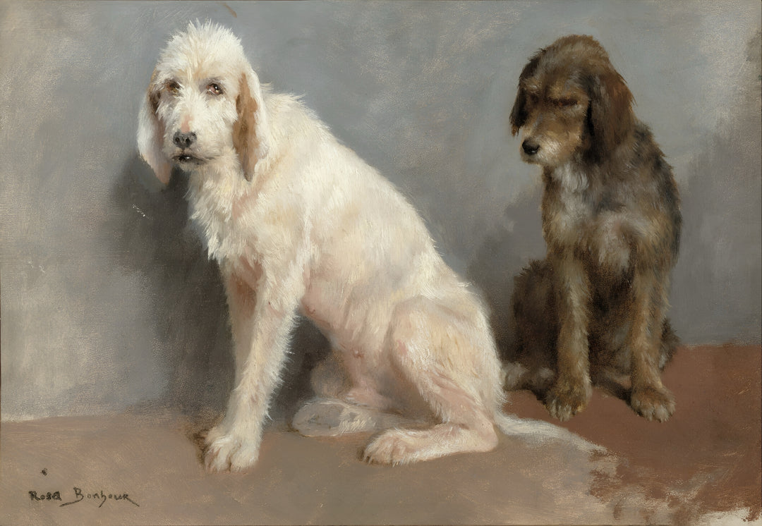 Study of Two Dogs - Rosa Bonheur